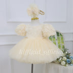 Rose-Adorned Pageant Gown & 1st Birthday Dress for Girls | KLFFLGID