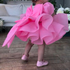 Customizable Big Bow Baby Birthday Party Puff Sleeve Tail Princess Dress | KLFFIGID