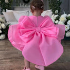 Customizable Big Bow Baby Birthday Party Puff Sleeve Tail Princess Dress | KLFFIGID