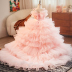 Girls' Elegant Princess Dress, Lace Tulle, Summer Wedding Dress, Party Girls' Princess Dress