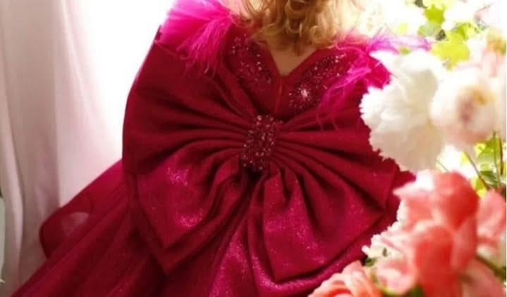Girls High-End Embroidered Birthday Dress with Big Bow & Train | KLFFIGID