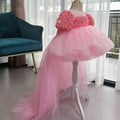 Birthday Baby Rose Flower Girl Dress Mesh Evening Gown | KLFFIGID