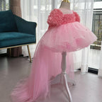 Birthday Baby Rose Flower Girl Dress Mesh Evening Gown | KLFFIGID