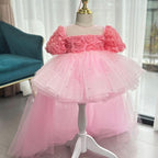 Birthday Baby Rose Flower Girl Dress Mesh Evening Gown | KLFFIGID