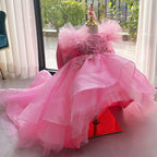 Girls High-End Embroidered Birthday Dress with Big Bow & Train | KLFFIGID