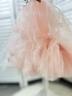 Embroidered Puffy Mesh Tutu Party Dress for Girls Princess | KLFFIGID