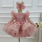 0-12Y Girls Long Sleeve Butterfly Embroidered Princess Dress | KLIFFIGID
