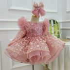 0-12Y Girls Long Sleeve Butterfly Embroidered Princess Dress | KLIFFIGID