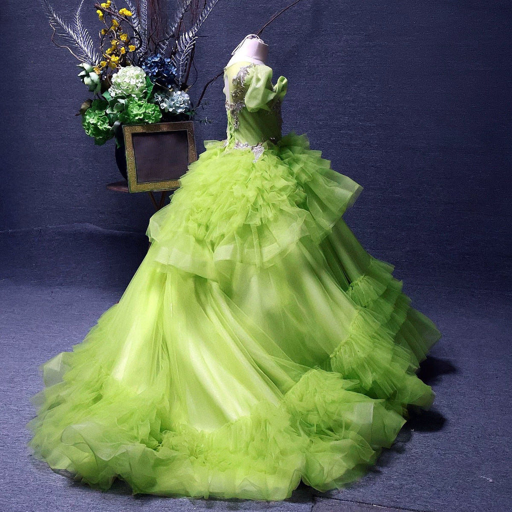 Baby Dress Embroidered Elegant Wedding Birthday Girl Evening Dress