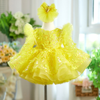 0-12Y Girls Long Sleeve Butterfly Embroidered Princess Dress | KLFFLGID