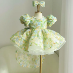 Baby Princess Gown Wedding Flower Girl Dress Toddler Birthday dress｜KLFFIGID