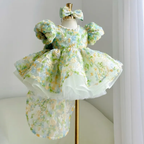 Baby Princess Gown Wedding Flower Girl Dress Toddler Birthday dress｜KLFFIGID