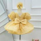 Baby Birthday Dress Toddler Princess Gown Elegant Princess Costume｜KLFFIGID