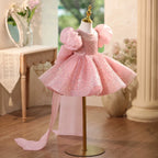 Short Sleeve Sequin Princess Birthday Party Dress | KLFFIGID