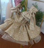 Baby's First Birthday Dress Glamorous Sequin Flower Girl Dress ｜KLFFLGID