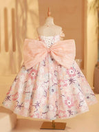 Dreamy Garden Princess Dress Embroidered Floral Ball Gown Sweet Bow Princess Gown