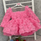 Girls Long Sleeve Mesh Rose Sequin Princess Dress | KLFFIGID