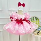 Cute birthday dress for a baby Wedding flower girl Elegant pageant gown｜KLFFIGID