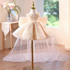 Toddlers Birthday Dress Elegant Sequin Pageant Dress for Girls | KLFFLGID