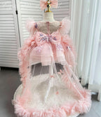 Cute Feather Sleeve Embroidery Girl Birthday Dress | KLFFIGID