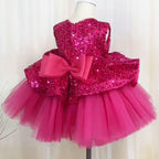 Elegant Sequin Baby Girl Birthday & Flower Girl Dress | KLIFFIGID