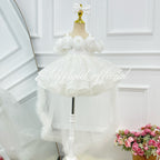 Baby's Birthday Dress Gorgeous Flower Girl Dress Toddler party dress for girls｜KLFFIGID