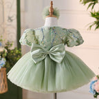 2Pcs Lilac Embroidered Puff Sleeve Baby Party Dress Set | KLFFIGID