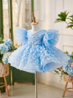 Girls Dreamy Butterfly Blue Tulle Fairy Party Dress | KLFFIGID