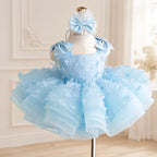 Girls Light Blue Princess Dress with 3D Floral Details｜KLFFLGID