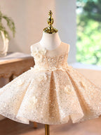 Toddlers Birthday Dress Elegant Sequin Pageant Dress for Girls | KLFFLGID