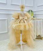 Elegant Flower Girl 1st Birthday Dress with Train | KLFFIGID