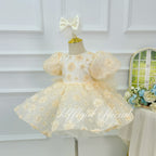 Girls' floral princess dress Baby's Birthday Party Dress | KLFFLGID