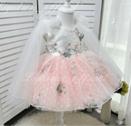 Embroidered Puffy Mesh Tutu Party Dress for Girls Princess | KLFFIGID