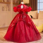 Fashion embroidered sequins children's dress red dress, piano stage performance dance girl evening dress