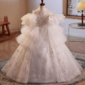 Fairy Tale Princess Dream Gown Elegant and Luxurious Multi-color Girl's Gown Princess Style Luxurious Ball Gown