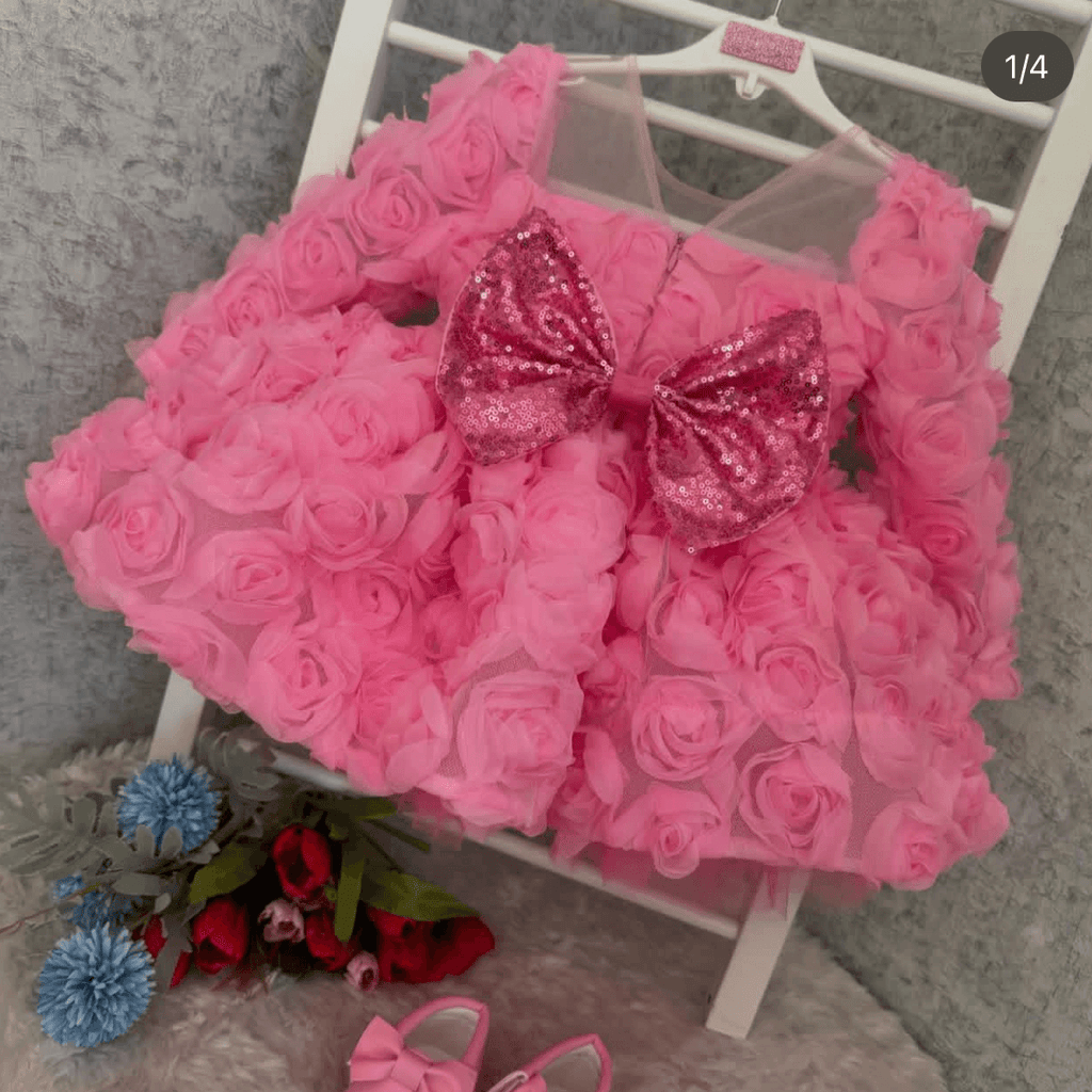 Girls Long Sleeve Mesh Rose Sequin Princess Dress | KLFFIGID