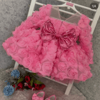 Girls Long Sleeve Mesh Rose Sequin Princess Dress | KLFFIGID