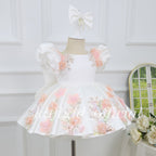 Fashion Baby's Birthday Dress Elegant Embroidered Floral Dress for Girls  | KLFFIGID