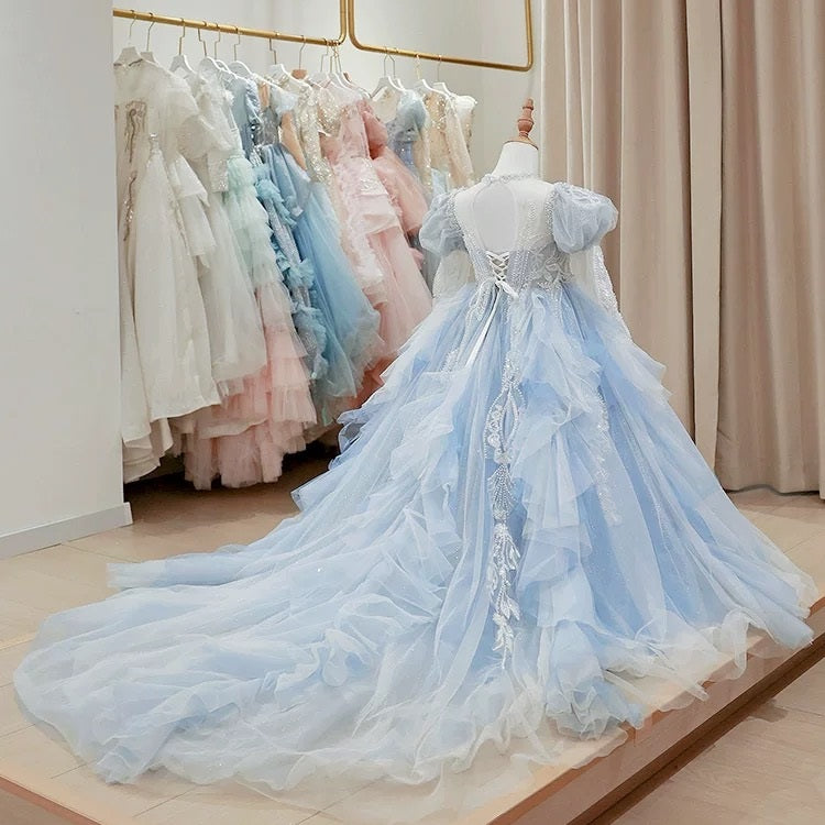 Children's dress, fluffy wedding dress, flower long-sleeved trailing evening dress, embroidered mesh girl princess dress