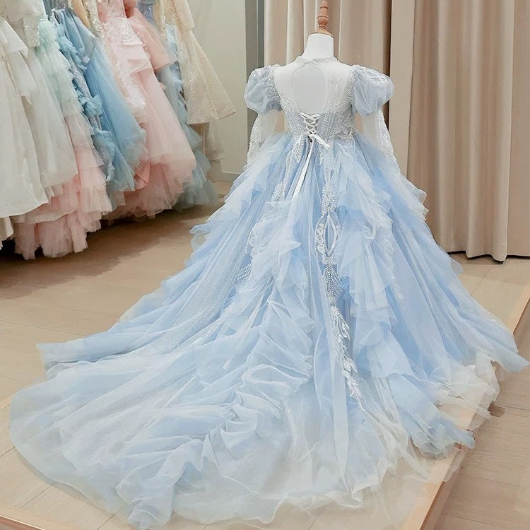 Children's dress, fluffy wedding dress, flower long-sleeved trailing evening dress, embroidered mesh girl princess dress