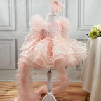 Butterfly Fluffy Princess Dress Long Sleeve Christmas & Birthday Outfit | KLFFIGID