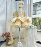 Puffy Ball Gown & Sequin Birthday Dress for Girls | KLFFLGID