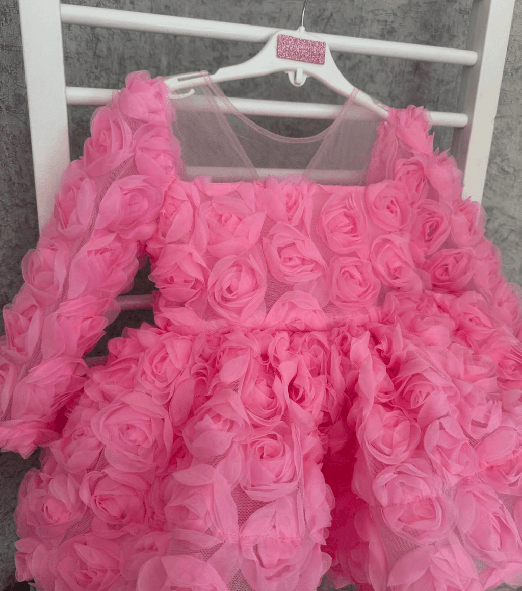 Girls Long Sleeve Mesh Rose Sequin Princess Dress | KLFFIGID