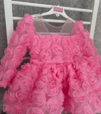 Girls Long Sleeve Mesh Rose Sequin Princess Dress | KLFFIGID