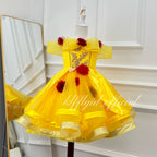Princess Ball Gown Birthday Party Dress for Girls | KLFFLGID