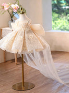 Toddlers Birthday Dress Elegant Sequin Pageant Dress for Girls | KLFFLGID