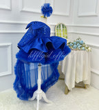 Toddler Girl Dress Birthday Dress for Girls Puffy Ball Gown｜KLFFIGID