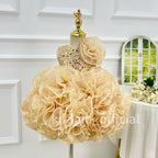 Cute Baby First Birthday Champagne Girls Party Dress | KLFFIGID