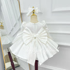 Baby Birthday Dress Girl Tulle Dress Wedding flower girl outfits｜KLFFIGID
