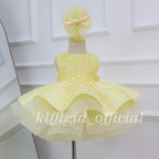 KLFFLGID Girls Sequined Backless Princess Dress Baby Birthday Dress Wedding Girl Dress